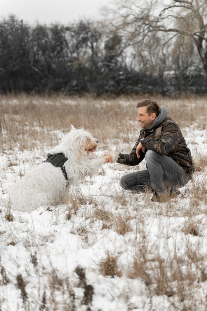 Ein Mann und sein Hund in einem schneebedeckten Feld mit herausstehenden Grashalmen des Vorjahres. Der Hund gibt dem Mann Pfötchen.
